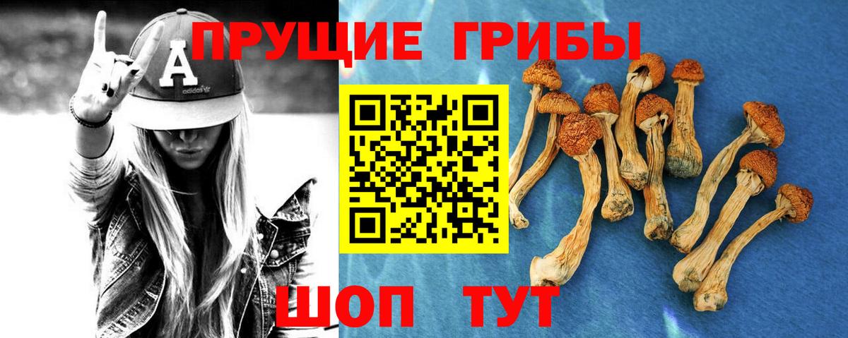 Тайшет  Галлюциногенные грибы прущие грибы  Вход с VPN  Псилоцибиновые грибы ЛСД 